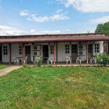 Casa Ioana Hotel Costinesti Bagian luar foto