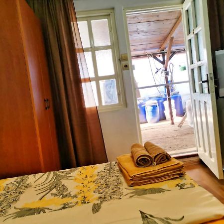Casa Ioana Hotel Costinesti Bagian luar foto
